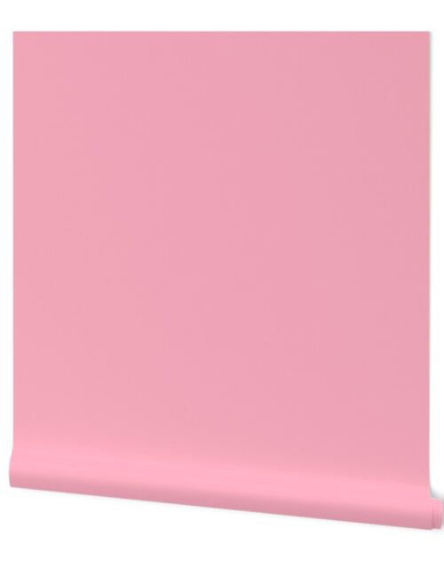 Palm Beach Pink Florida Colors of the Sunshine State Wallpaper