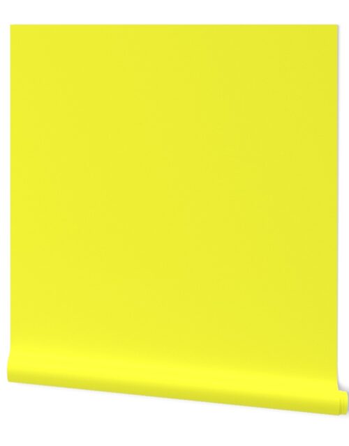 Florida Sunshine Yellow Florida Colors of the Sunshine State Wallpaper