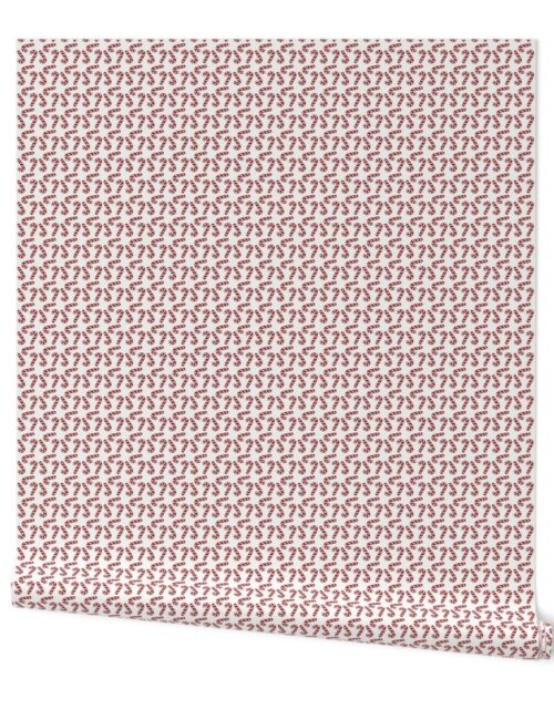 Dark Christmas Candy Apple Red Candy Canes on White Wallpaper