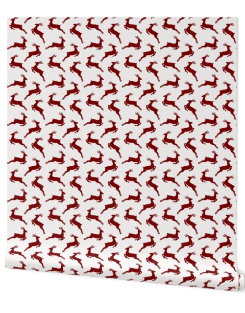 Large Dark Christmas Candy Apple Red Leaping Reindeer on White Wallpaper