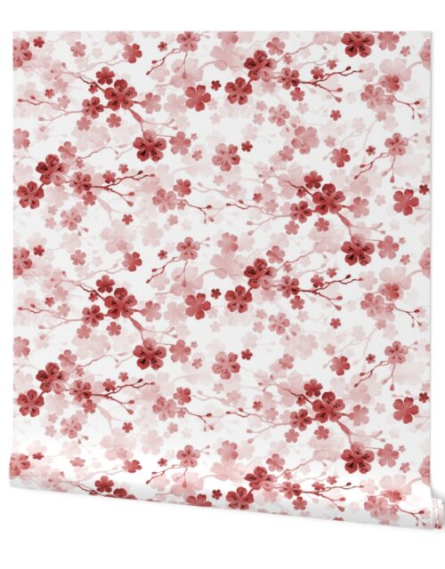Bright Red Pastel Watercolor Cherry Blossom Flowers and Vines Wallpaper
