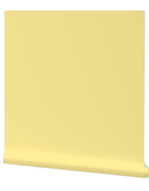 Pastel Easter Yellow Solid Coordinate Color Wallpaper