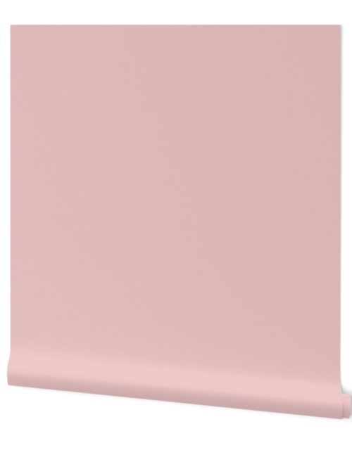 Pastel Easter French Pink Solid Coordinate Color Wallpaper