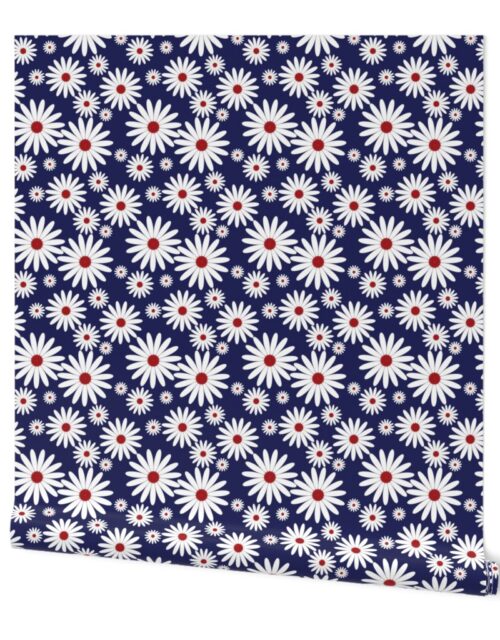 Jumbo Daisies USA in Red, White and Blue Wallpaper