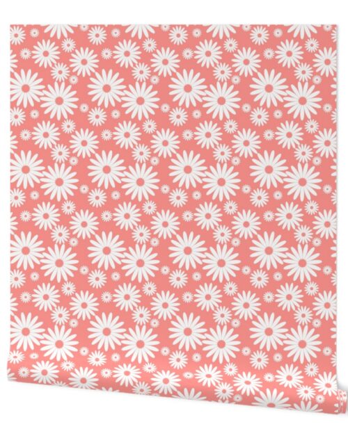Mini Daisies in Coral and White Wallpaper
