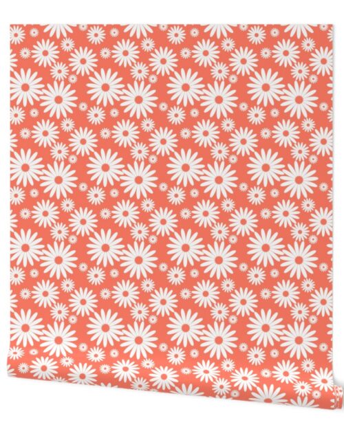 Jumbo Daisies in Neon Coral and White Wallpaper