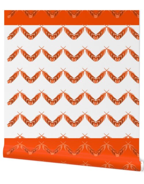 Orange Feather Border Wallpaper