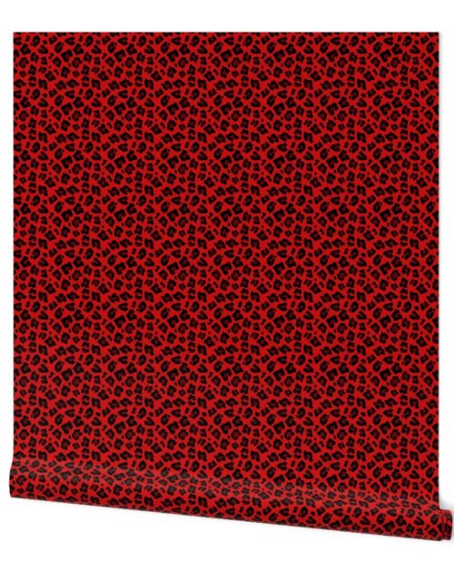 Smaller Leopard Spots Animal Repeat Pattern Print in Red and Black Wallpaper