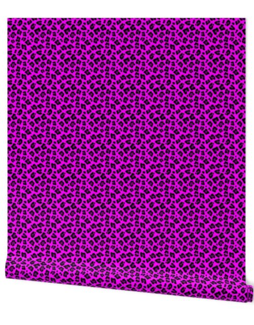 Smaller Jumbo Spots Animal Repeat Pattern Print in Hot Pink and Black Wallpaper
