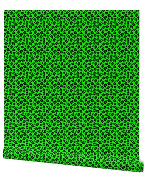 Smaller Leopard Spots Animal Repeat Pattern Print in Green and Black Wallpaper