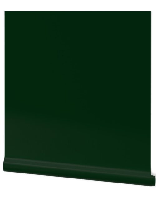 Christmas Aspen Pine Tree Green Solid Color Wallpaper