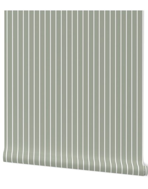 Classic wider 1 Inch White Pinstripe on a Desert Sage Grey Green Background Wallpaper