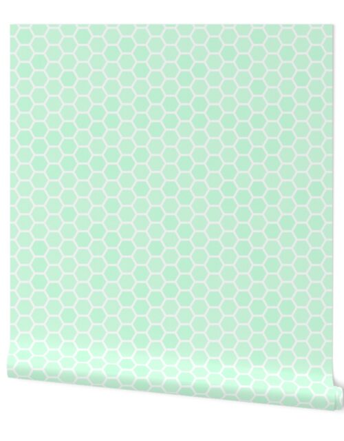 Large Mint Green Honeycomb Bee Hive Geometric Hexagonal Design Wallpaper