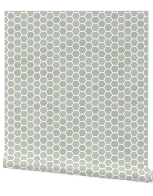 Large Desert Sage Grey Green Honeycomb Bee Hive Geometric Hexagonal Design Wallpaper