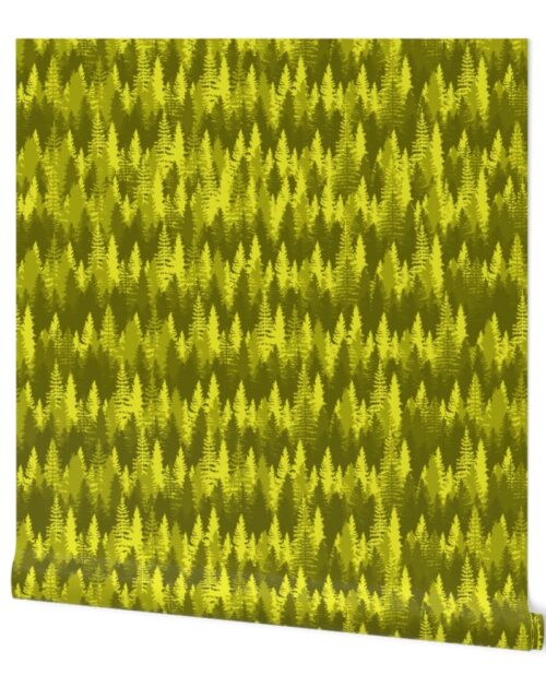 Endless Evergreen Forest with Fir Trees in Shades of Golden Yellow Wallpaper