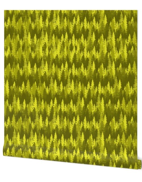 Large Endless Evergreen Forest with Fir Trees in Shades of Golden Yellow Wallpaper
