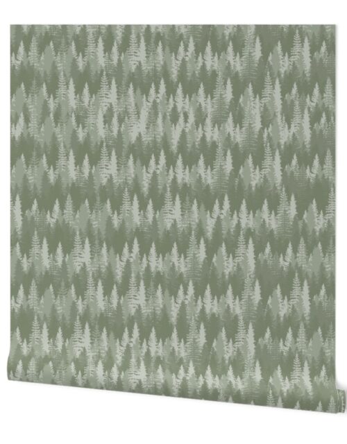 Endless Evergreen Forest with Fir Trees in Shades of Sage Green Wallpaper