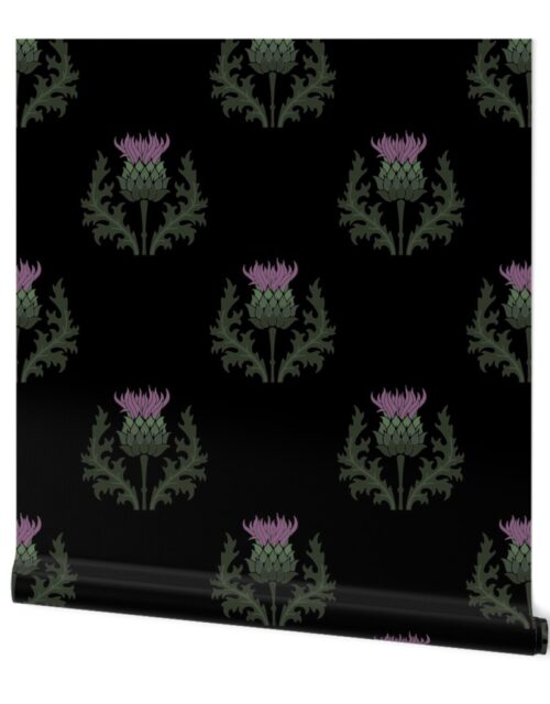 Large Scottish Thistle Flower of Scotland on Black Wallpaper