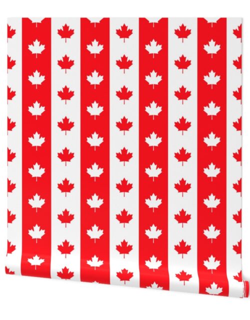 Canadian Flag Colors Red, White and Maple Leaves Jumbo 6 Inch Vertical Stripes Wallpaper