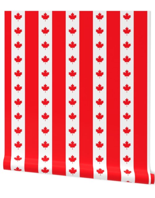 Canadian Flag Colors Red, White and Maple Leaves Large 3 Inch Vertical Stripes Wallpaper