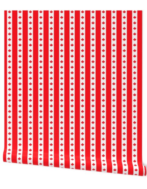 Canadian Flag Colors Red, White and Maple Leaves 1 Inch Vertical Stripes Wallpaper