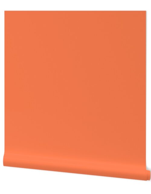 Sunset Coral solid pink orange coral coordinate accent color Wallpaper