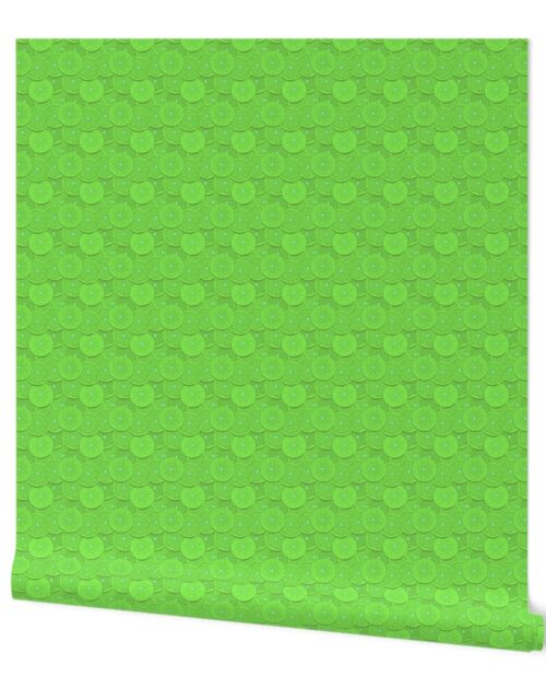 Key Limes Citrus 1 inch Fruit Slices in a Zesty Repeat Pattern Wallpaper