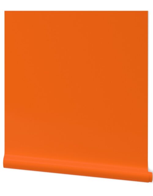 Orange Tiger Autumn Winter 2022 2023 Color Trend Wallpaper