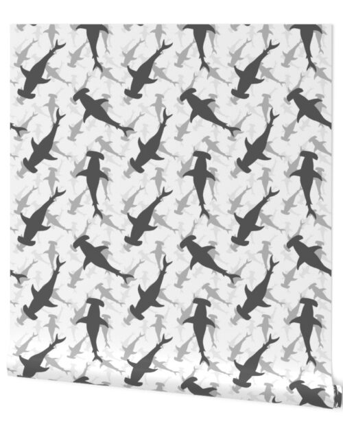 Hammerhead Sharks in Grey Silhouette Circling on White Wallpaper