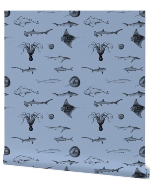 Sharks, Rays, Cephalopods and Squid in Grey Pencil  on Blue Wallpaper