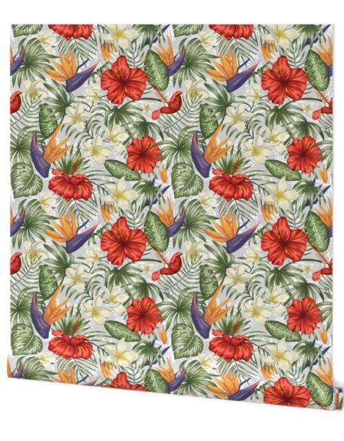 White and Red Hawaiian Hibiscus Birds of Paradise and Plumeria Wallpaper