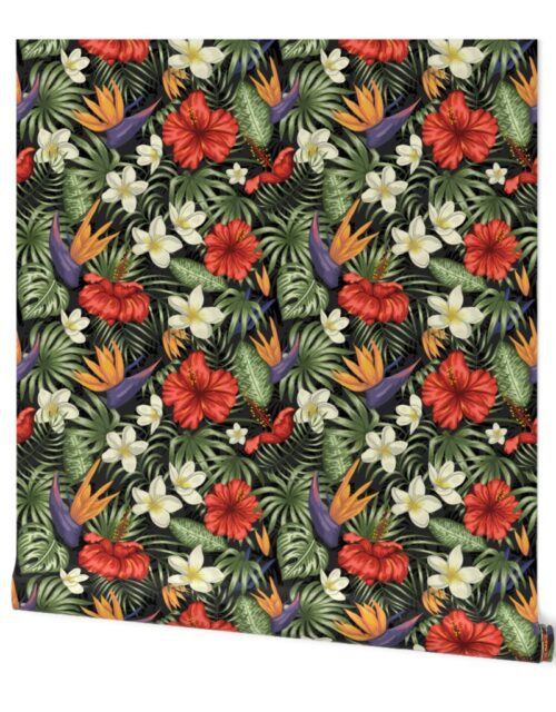 Black Hawaiian Hibiscus Tropical Rainforest Birds of Paradise and Plumeria Wallpaper
