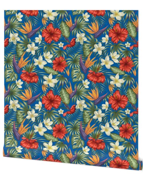 Pacific Blue Hibiscus Tropical Rainforest Birds and Plumeria Wallpaper