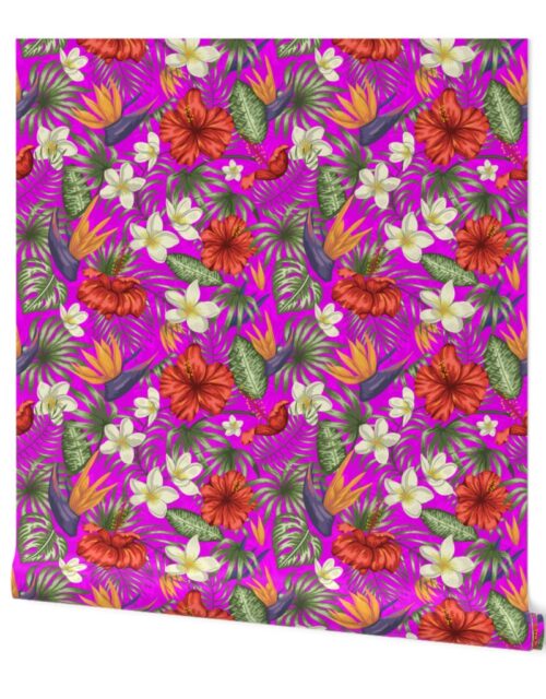 Orchid Pink and Red Hawaiian Birds of Paradise and Plumeria Wallpaper
