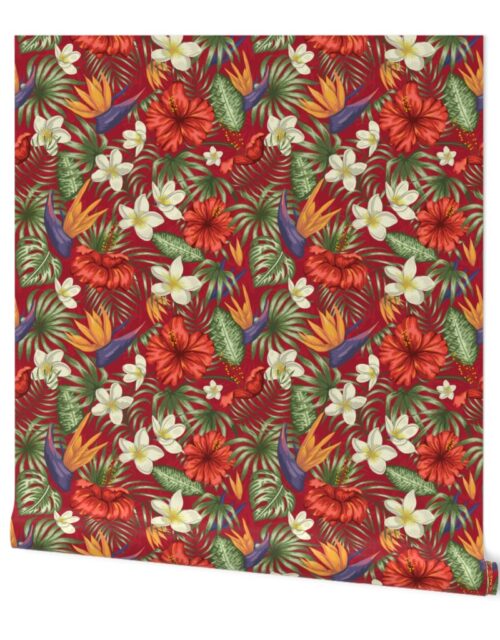 Crimson Red  Hibiscus Tropical Birds of Paradise and Plumeria Wallpaper
