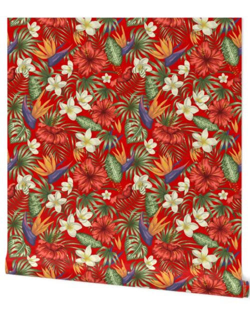 Ruby Red Hawaiian Tropical Rainforest Birds Plumeria Wallpaper