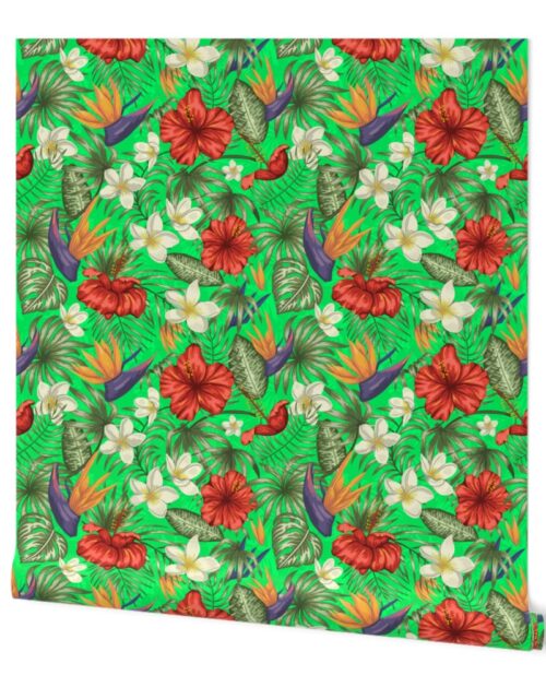 Bright Green Hibiscus Tropical Rainforest Birds of Paradise Wallpaper