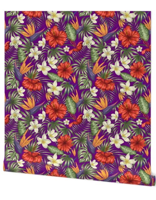 Royal Purple Hawaiian Hibiscus Tropical Rainforest Birds of Paradise Wallpaper