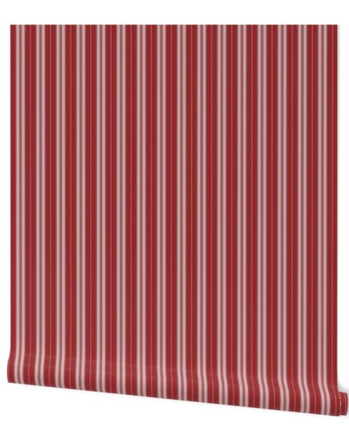Lava Falls Red on Red  Autumn Winter 2022 2023 Color Trend Mattress Ticking Wallpaper