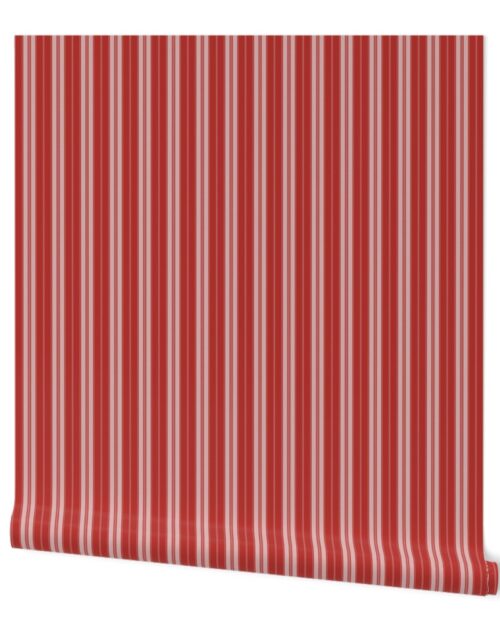 Molten Lava Red on Red Autumn Winter 2022 2023 Color Trend Mattress Ticking Wallpaper