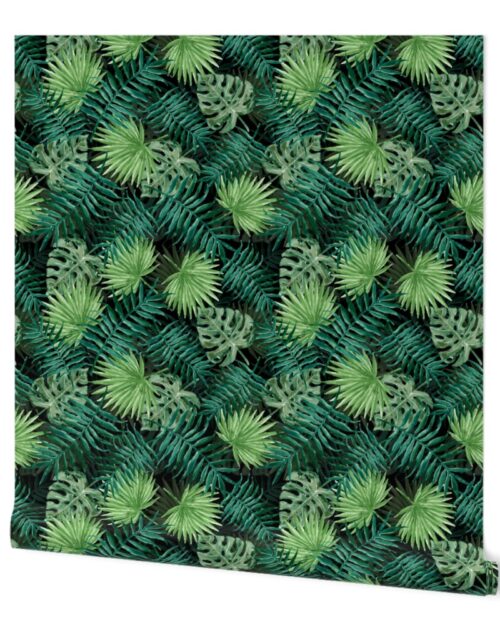 Dark Green Fern Palm and Monstera Tropical Plants Wallpaper