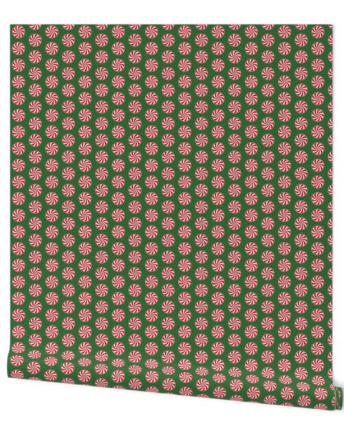 Red and White Peppermint Christmas Candy Swirls on Tree Green Wallpaper