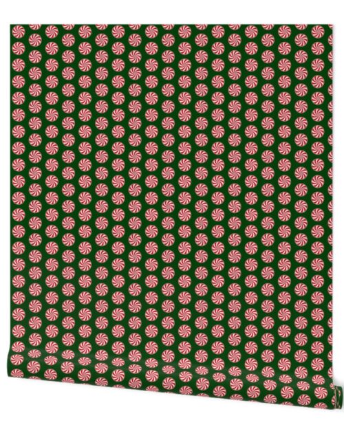 Red and White Peppermint Christmas Candy Swirls on Forest Green Wallpaper
