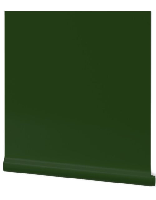 Dark Forest Green Solid Christmas Color Wallpaper
