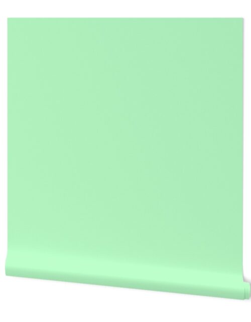 Solid Coordinate Pastel Mint Green Color Wallpaper