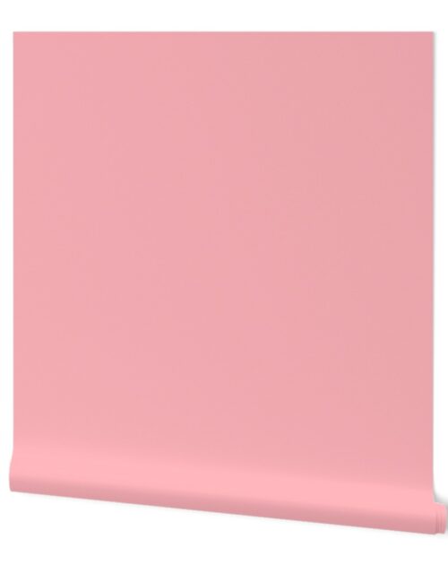 Solid Coordinate Pastel Pink Color Wallpaper