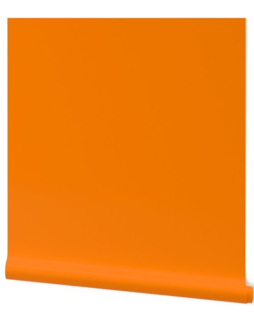 Florida Orange Official State Solid Color Wallpaper