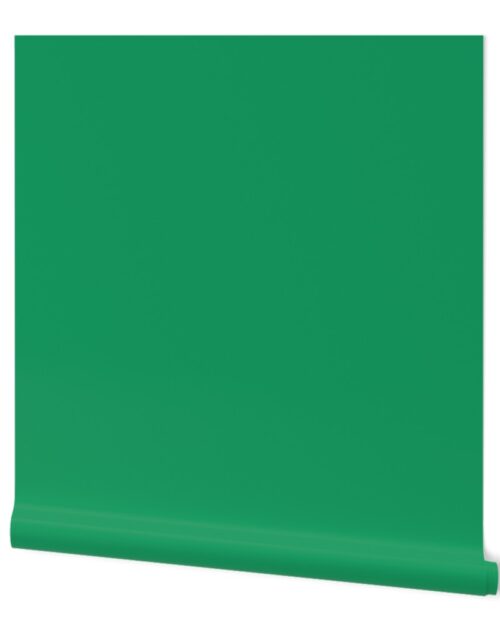 Irish Flag Green Simple Solid Color Wallpaper