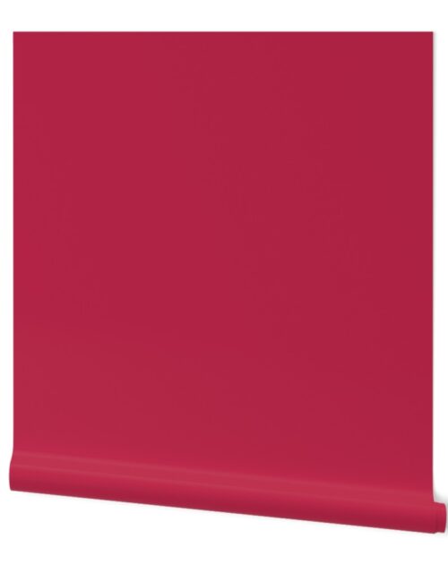Color of the Year 2023 Viva Magenta Solid Coordinate Wallpaper
