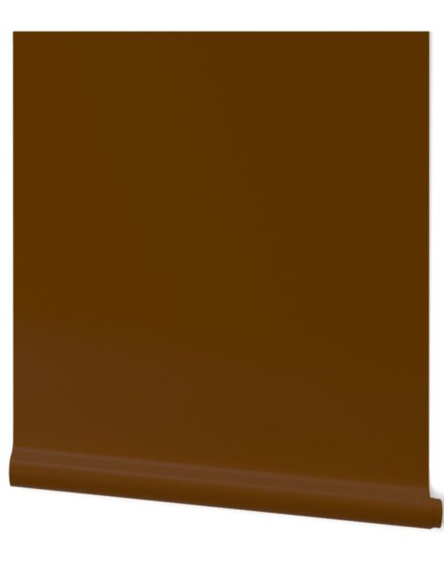 SOLID BROWN  #653700 HTML HEX Colors Wallpaper